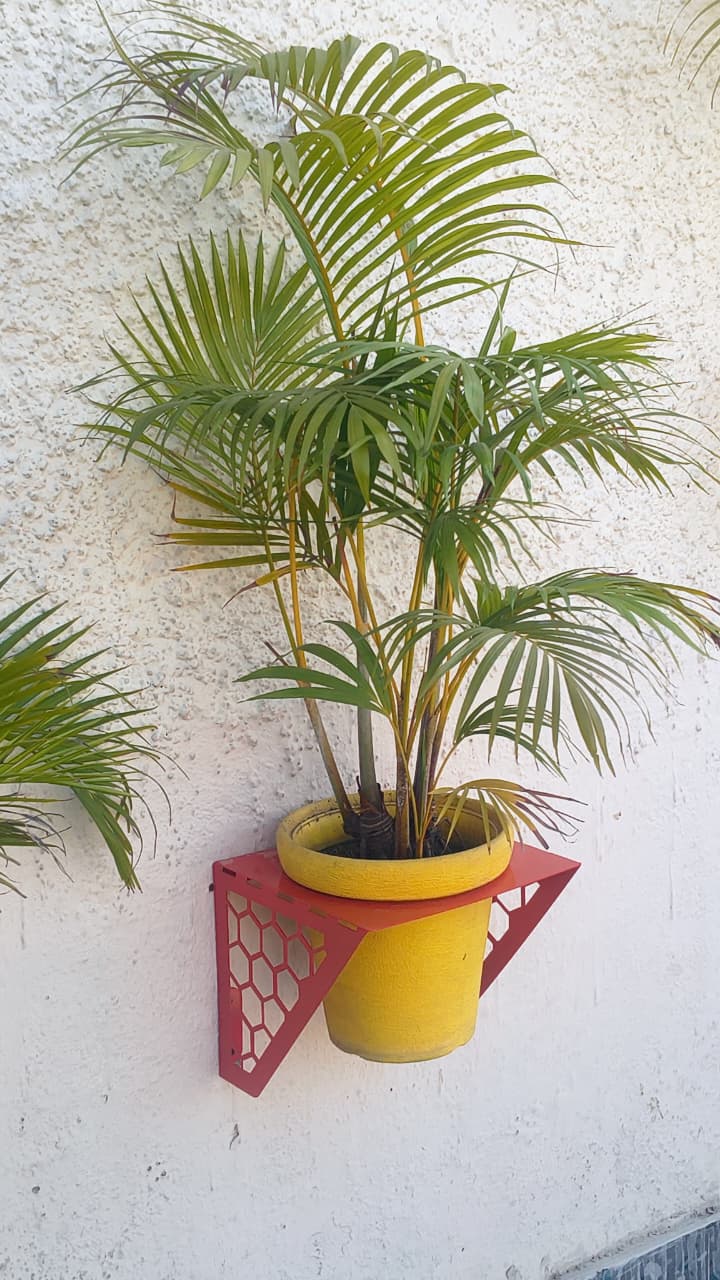 wall hanging planter