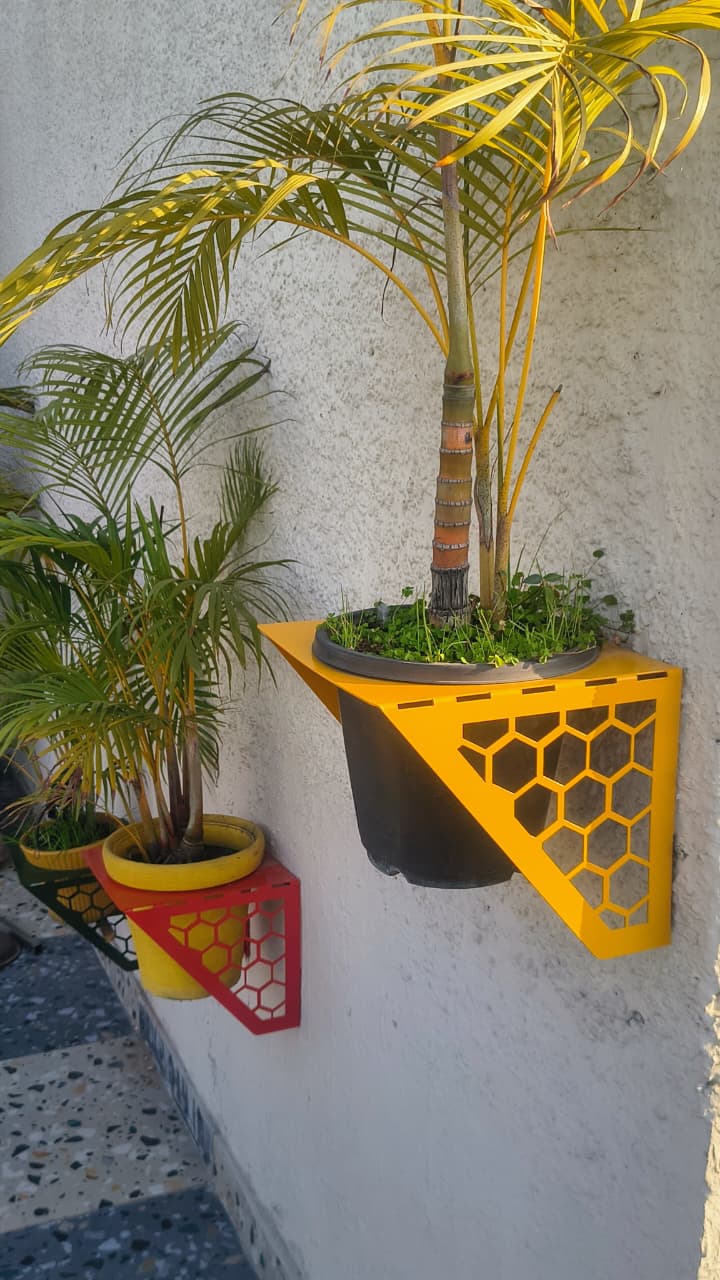 wall hanging planter