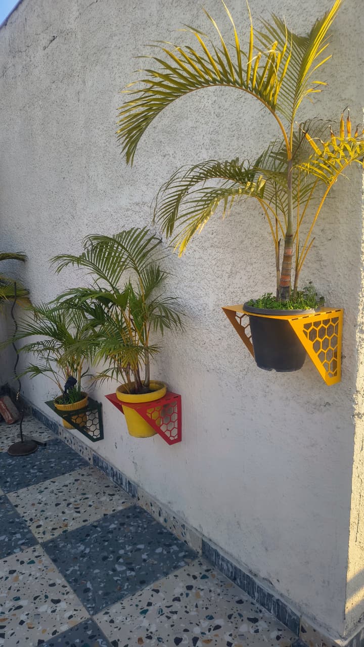 wall hanging planter